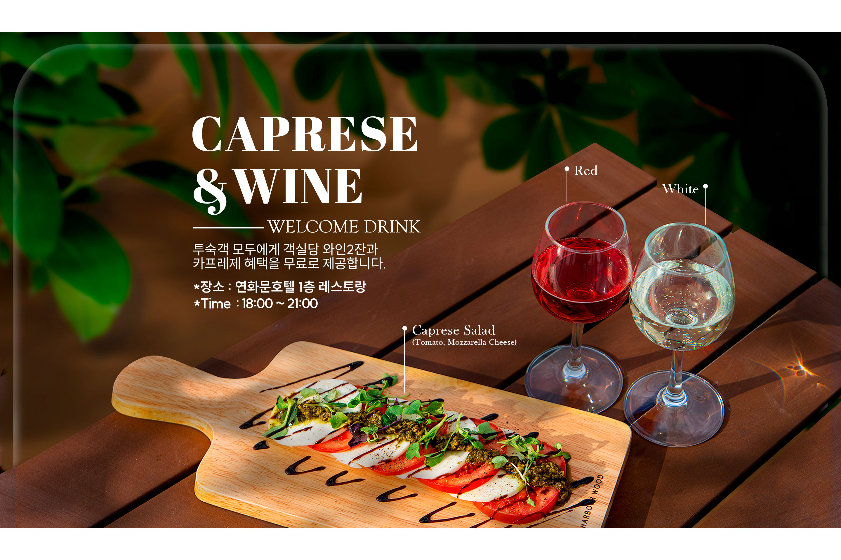 투숙객 한정 와인 2잔+ 카프레제 샐러드 제공